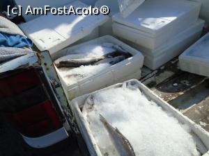 [P13] Noroc că după aia găsim o camionetă cu pește la prețuri normale...  » foto by Carmen Ion
 - 
<span class="allrVoted glyphicon glyphicon-heart hidden" id="av1024882"></span>
<a class="m-l-10 hidden" id="sv1024882" onclick="voting_Foto_DelVot(,1024882,993)" role="button">șterge vot <span class="glyphicon glyphicon-remove"></span></a>
<a id="v91024882" class=" c-red"  onclick="voting_Foto_SetVot(1024882)" role="button"><span class="glyphicon glyphicon-heart-empty"></span> <b>LIKE</b> = Votează poza</a> <img class="hidden"  id="f1024882W9" src="/imagini/loader.gif" border="0" /><span class="AjErrMes hidden" id="e1024882ErM"></span>