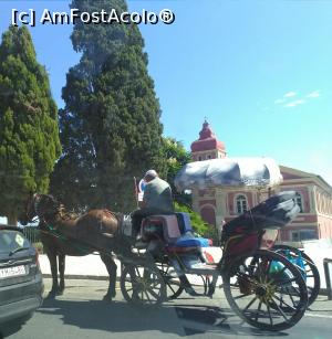 [P35] Corfu Town » foto by Carmen Ion
 - 
<span class="allrVoted glyphicon glyphicon-heart hidden" id="av1026403"></span>
<a class="m-l-10 hidden" id="sv1026403" onclick="voting_Foto_DelVot(,1026403,993)" role="button">șterge vot <span class="glyphicon glyphicon-remove"></span></a>
<a id="v91026403" class=" c-red"  onclick="voting_Foto_SetVot(1026403)" role="button"><span class="glyphicon glyphicon-heart-empty"></span> <b>LIKE</b> = Votează poza</a> <img class="hidden"  id="f1026403W9" src="/imagini/loader.gif" border="0" /><span class="AjErrMes hidden" id="e1026403ErM"></span>