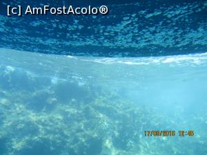 [P10] Yellow submarine, apele la granita.  » foto by elviramvio
 - 
<span class="allrVoted glyphicon glyphicon-heart hidden" id="av806890"></span>
<a class="m-l-10 hidden" id="sv806890" onclick="voting_Foto_DelVot(,806890,993)" role="button">șterge vot <span class="glyphicon glyphicon-remove"></span></a>
<a id="v9806890" class=" c-red"  onclick="voting_Foto_SetVot(806890)" role="button"><span class="glyphicon glyphicon-heart-empty"></span> <b>LIKE</b> = Votează poza</a> <img class="hidden"  id="f806890W9" src="/imagini/loader.gif" border="0" /><span class="AjErrMes hidden" id="e806890ErM"></span>
