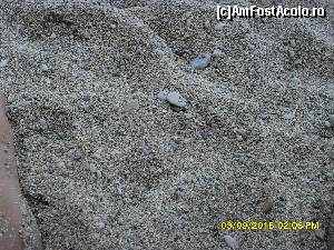 [P197] 6e) plaja Rovinia » foto by adryana
 - 
<span class="allrVoted glyphicon glyphicon-heart hidden" id="av672032"></span>
<a class="m-l-10 hidden" id="sv672032" onclick="voting_Foto_DelVot(,672032,993)" role="button">șterge vot <span class="glyphicon glyphicon-remove"></span></a>
<a id="v9672032" class=" c-red"  onclick="voting_Foto_SetVot(672032)" role="button"><span class="glyphicon glyphicon-heart-empty"></span> <b>LIKE</b> = Votează poza</a> <img class="hidden"  id="f672032W9" src="/imagini/loader.gif" border="0" /><span class="AjErrMes hidden" id="e672032ErM"></span>