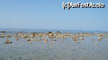 [P18] malul marii in apropiere de Agios Georgios » foto by deliutza27
 - 
<span class="allrVoted glyphicon glyphicon-heart hidden" id="av189515"></span>
<a class="m-l-10 hidden" id="sv189515" onclick="voting_Foto_DelVot(,189515,993)" role="button">șterge vot <span class="glyphicon glyphicon-remove"></span></a>
<a id="v9189515" class=" c-red"  onclick="voting_Foto_SetVot(189515)" role="button"><span class="glyphicon glyphicon-heart-empty"></span> <b>LIKE</b> = Votează poza</a> <img class="hidden"  id="f189515W9" src="/imagini/loader.gif" border="0" /><span class="AjErrMes hidden" id="e189515ErM"></span>
