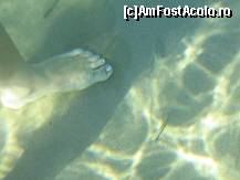 [P21] apa marii ionice in agios gordis » foto by dpavel
 - 
<span class="allrVoted glyphicon glyphicon-heart hidden" id="av205283"></span>
<a class="m-l-10 hidden" id="sv205283" onclick="voting_Foto_DelVot(,205283,996)" role="button">șterge vot <span class="glyphicon glyphicon-remove"></span></a>
<a id="v9205283" class=" c-red"  onclick="voting_Foto_SetVot(205283)" role="button"><span class="glyphicon glyphicon-heart-empty"></span> <b>LIKE</b> = Votează poza</a> <img class="hidden"  id="f205283W9" src="/imagini/loader.gif" border="0" /><span class="AjErrMes hidden" id="e205283ErM"></span>
