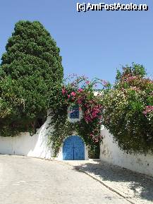 [P06] Sidi Bou Said - straduta » foto by ValeaJiului
 - 
<span class="allrVoted glyphicon glyphicon-heart hidden" id="av62791"></span>
<a class="m-l-10 hidden" id="sv62791" onclick="voting_Foto_DelVot(,62791,997)" role="button">șterge vot <span class="glyphicon glyphicon-remove"></span></a>
<a id="v962791" class=" c-red"  onclick="voting_Foto_SetVot(62791)" role="button"><span class="glyphicon glyphicon-heart-empty"></span> <b>LIKE</b> = Votează poza</a> <img class="hidden"  id="f62791W9" src="/imagini/loader.gif" border="0" /><span class="AjErrMes hidden" id="e62791ErM"></span>