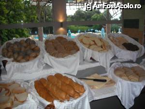 [P29] Painea. Vreo 8 feluri.  » foto by Zoazore
 - 
<span class="allrVoted glyphicon glyphicon-heart hidden" id="av433463"></span>
<a class="m-l-10 hidden" id="sv433463" onclick="voting_Foto_DelVot(,433463,1019)" role="button">șterge vot <span class="glyphicon glyphicon-remove"></span></a>
<a id="v9433463" class=" c-red"  onclick="voting_Foto_SetVot(433463)" role="button"><span class="glyphicon glyphicon-heart-empty"></span> <b>LIKE</b> = Votează poza</a> <img class="hidden"  id="f433463W9" src="/imagini/loader.gif" border="0" /><span class="AjErrMes hidden" id="e433463ErM"></span>