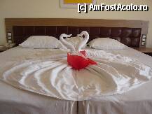 [P02]  -- <small>// FĂRĂ DESCRIERE</small> » foto by Nicu
 - 
<span class="allrVoted glyphicon glyphicon-heart hidden" id="av5200"></span>
<a class="m-l-10 hidden" id="sv5200" onclick="voting_Foto_DelVot(,5200,1040)" role="button">șterge vot <span class="glyphicon glyphicon-remove"></span></a>
<a id="v95200" class=" c-red"  onclick="voting_Foto_SetVot(5200)" role="button"><span class="glyphicon glyphicon-heart-empty"></span> <b>LIKE</b> = Votează poza</a> <img class="hidden"  id="f5200W9" src="/imagini/loader.gif" border="0" /><span class="AjErrMes hidden" id="e5200ErM"></span>