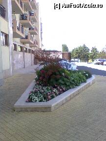 [P15] parcarea si intrarea spre hotel dinspre strada...principala..iar flori...superb..si ff curat.. » foto by VIO
 - 
<span class="allrVoted glyphicon glyphicon-heart hidden" id="av239633"></span>
<a class="m-l-10 hidden" id="sv239633" onclick="voting_Foto_DelVot(,239633,1040)" role="button">șterge vot <span class="glyphicon glyphicon-remove"></span></a>
<a id="v9239633" class=" c-red"  onclick="voting_Foto_SetVot(239633)" role="button"><span class="glyphicon glyphicon-heart-empty"></span> <b>LIKE</b> = Votează poza</a> <img class="hidden"  id="f239633W9" src="/imagini/loader.gif" border="0" /><span class="AjErrMes hidden" id="e239633ErM"></span>