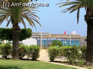 [P12] Alee spre mare ,în fundal zona terasei de la plajă » foto by AZE
 - 
<span class="allrVoted glyphicon glyphicon-heart hidden" id="av1307031"></span>
<a class="m-l-10 hidden" id="sv1307031" onclick="voting_Foto_DelVot(,1307031,1053)" role="button">șterge vot <span class="glyphicon glyphicon-remove"></span></a>
<a id="v91307031" class=" c-red"  onclick="voting_Foto_SetVot(1307031)" role="button"><span class="glyphicon glyphicon-heart-empty"></span> <b>LIKE</b> = Votează poza</a> <img class="hidden"  id="f1307031W9" src="/imagini/loader.gif" border="0" /><span class="AjErrMes hidden" id="e1307031ErM"></span>