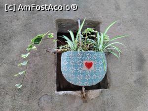 [P09] La pas prin Vrbnik » foto by crismis
 - 
<span class="allrVoted glyphicon glyphicon-heart hidden" id="av1336084"></span>
<a class="m-l-10 hidden" id="sv1336084" onclick="voting_Foto_DelVot(,1336084,1056)" role="button">șterge vot <span class="glyphicon glyphicon-remove"></span></a>
<a id="v91336084" class=" c-red"  onclick="voting_Foto_SetVot(1336084)" role="button"><span class="glyphicon glyphicon-heart-empty"></span> <b>LIKE</b> = Votează poza</a> <img class="hidden"  id="f1336084W9" src="/imagini/loader.gif" border="0" /><span class="AjErrMes hidden" id="e1336084ErM"></span>