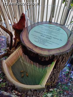 [P16] DUBoak - un muzeu mic, interactiv, foarte interesant » foto by crismis
 - 
<span class="allrVoted glyphicon glyphicon-heart hidden" id="av1346030"></span>
<a class="m-l-10 hidden" id="sv1346030" onclick="voting_Foto_DelVot(,1346030,1056)" role="button">șterge vot <span class="glyphicon glyphicon-remove"></span></a>
<a id="v91346030" class=" c-red"  onclick="voting_Foto_SetVot(1346030)" role="button"><span class="glyphicon glyphicon-heart-empty"></span> <b>LIKE</b> = Votează poza</a> <img class="hidden"  id="f1346030W9" src="/imagini/loader.gif" border="0" /><span class="AjErrMes hidden" id="e1346030ErM"></span>