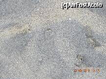 [P18] cata de pisica sub topogan » foto by xxxrobi*
 - 
<span class="allrVoted glyphicon glyphicon-heart hidden" id="av216164"></span>
<a class="m-l-10 hidden" id="sv216164" onclick="voting_Foto_DelVot(,216164,1057)" role="button">șterge vot <span class="glyphicon glyphicon-remove"></span></a>
<a id="v9216164" class=" c-red"  onclick="voting_Foto_SetVot(216164)" role="button"><span class="glyphicon glyphicon-heart-empty"></span> <b>LIKE</b> = Votează poza</a> <img class="hidden"  id="f216164W9" src="/imagini/loader.gif" border="0" /><span class="AjErrMes hidden" id="e216164ErM"></span>