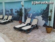 [P20] pisic la piscina interioara » foto by xxxrobi*
 - 
<span class="allrVoted glyphicon glyphicon-heart hidden" id="av216166"></span>
<a class="m-l-10 hidden" id="sv216166" onclick="voting_Foto_DelVot(,216166,1057)" role="button">șterge vot <span class="glyphicon glyphicon-remove"></span></a>
<a id="v9216166" class=" c-red"  onclick="voting_Foto_SetVot(216166)" role="button"><span class="glyphicon glyphicon-heart-empty"></span> <b>LIKE</b> = Votează poza</a> <img class="hidden"  id="f216166W9" src="/imagini/loader.gif" border="0" /><span class="AjErrMes hidden" id="e216166ErM"></span>