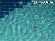 [P26] broaca in piscina » foto by xxxrobi*
 - 
<span class="allrVoted glyphicon glyphicon-heart hidden" id="av216172"></span>
<a class="m-l-10 hidden" id="sv216172" onclick="voting_Foto_DelVot(,216172,1057)" role="button">șterge vot <span class="glyphicon glyphicon-remove"></span></a>
<a id="v9216172" class=" c-red"  onclick="voting_Foto_SetVot(216172)" role="button"><span class="glyphicon glyphicon-heart-empty"></span> <b>LIKE</b> = Votează poza</a> <img class="hidden"  id="f216172W9" src="/imagini/loader.gif" border="0" /><span class="AjErrMes hidden" id="e216172ErM"></span>