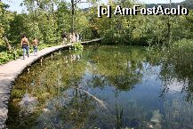 [P10] Plitvice - upper lakes » foto by miticat*
 - 
<span class="allrVoted glyphicon glyphicon-heart hidden" id="av3281"></span>
<a class="m-l-10 hidden" id="sv3281" onclick="voting_Foto_DelVot(,3281,1065)" role="button">șterge vot <span class="glyphicon glyphicon-remove"></span></a>
<a id="v93281" class=" c-red"  onclick="voting_Foto_SetVot(3281)" role="button"><span class="glyphicon glyphicon-heart-empty"></span> <b>LIKE</b> = Votează poza</a> <img class="hidden"  id="f3281W9" src="/imagini/loader.gif" border="0" /><span class="AjErrMes hidden" id="e3281ErM"></span>