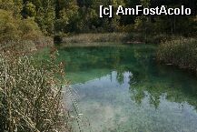 [P12] Plitvice - upper lakes » foto by miticat*
 - 
<span class="allrVoted glyphicon glyphicon-heart hidden" id="av3283"></span>
<a class="m-l-10 hidden" id="sv3283" onclick="voting_Foto_DelVot(,3283,1065)" role="button">șterge vot <span class="glyphicon glyphicon-remove"></span></a>
<a id="v93283" class=" c-red"  onclick="voting_Foto_SetVot(3283)" role="button"><span class="glyphicon glyphicon-heart-empty"></span> <b>LIKE</b> = Votează poza</a> <img class="hidden"  id="f3283W9" src="/imagini/loader.gif" border="0" /><span class="AjErrMes hidden" id="e3283ErM"></span>