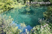 [P13] Plitvice » foto by miticat*
 - 
<span class="allrVoted glyphicon glyphicon-heart hidden" id="av3284"></span>
<a class="m-l-10 hidden" id="sv3284" onclick="voting_Foto_DelVot(,3284,1065)" role="button">șterge vot <span class="glyphicon glyphicon-remove"></span></a>
<a id="v93284" class=" c-red"  onclick="voting_Foto_SetVot(3284)" role="button"><span class="glyphicon glyphicon-heart-empty"></span> <b>LIKE</b> = Votează poza</a> <img class="hidden"  id="f3284W9" src="/imagini/loader.gif" border="0" /><span class="AjErrMes hidden" id="e3284ErM"></span>