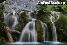 [P02] Cascada la Plitvice » foto by miticat*
 - 
<span class="allrVoted glyphicon glyphicon-heart hidden" id="av3265"></span>
<a class="m-l-10 hidden" id="sv3265" onclick="voting_Foto_DelVot(,3265,1065)" role="button">șterge vot <span class="glyphicon glyphicon-remove"></span></a>
<a id="v93265" class=" c-red"  onclick="voting_Foto_SetVot(3265)" role="button"><span class="glyphicon glyphicon-heart-empty"></span> <b>LIKE</b> = Votează poza</a> <img class="hidden"  id="f3265W9" src="/imagini/loader.gif" border="0" /><span class="AjErrMes hidden" id="e3265ErM"></span>