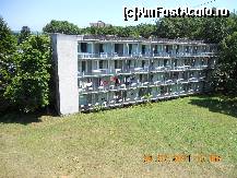 [P03]  -- <small>// FĂRĂ DESCRIERE</small> » foto by toderas
 - 
<span class="allrVoted glyphicon glyphicon-heart hidden" id="av224536"></span>
<a class="m-l-10 hidden" id="sv224536" onclick="voting_Foto_DelVot(,224536,1068)" role="button">șterge vot <span class="glyphicon glyphicon-remove"></span></a>
<a id="v9224536" class=" c-red"  onclick="voting_Foto_SetVot(224536)" role="button"><span class="glyphicon glyphicon-heart-empty"></span> <b>LIKE</b> = Votează poza</a> <img class="hidden"  id="f224536W9" src="/imagini/loader.gif" border="0" /><span class="AjErrMes hidden" id="e224536ErM"></span>