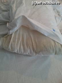 [P01]  -- <small>// FĂRĂ DESCRIERE</small> » foto by Mariancelentano
 - 
<span class="allrVoted glyphicon glyphicon-heart hidden" id="av457105"></span>
<a class="m-l-10 hidden" id="sv457105" onclick="voting_Foto_DelVot(,457105,1069)" role="button">șterge vot <span class="glyphicon glyphicon-remove"></span></a>
<a id="v9457105" class=" c-red"  onclick="voting_Foto_SetVot(457105)" role="button"><span class="glyphicon glyphicon-heart-empty"></span> <b>LIKE</b> = Votează poza</a> <img class="hidden"  id="f457105W9" src="/imagini/loader.gif" border="0" /><span class="AjErrMes hidden" id="e457105ErM"></span>