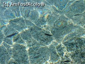 [P04] Așa arată apa mării pe una din plajele Agia Pelagia.  » foto by Moruzi
 - 
<span class="allrVoted glyphicon glyphicon-heart hidden" id="av771145"></span>
<a class="m-l-10 hidden" id="sv771145" onclick="voting_Foto_DelVot(,771145,1094)" role="button">șterge vot <span class="glyphicon glyphicon-remove"></span></a>
<a id="v9771145" class=" c-red"  onclick="voting_Foto_SetVot(771145)" role="button"><span class="glyphicon glyphicon-heart-empty"></span> <b>LIKE</b> = Votează poza</a> <img class="hidden"  id="f771145W9" src="/imagini/loader.gif" border="0" /><span class="AjErrMes hidden" id="e771145ErM"></span>