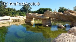 [P51] Mardan Palace - Swim Reef în paragină » foto by nicole33
 - 
<span class="allrVoted glyphicon glyphicon-heart hidden" id="av1137306"></span>
<a class="m-l-10 hidden" id="sv1137306" onclick="voting_Foto_DelVot(,1137306,1096)" role="button">șterge vot <span class="glyphicon glyphicon-remove"></span></a>
<a id="v91137306" class=" c-red"  onclick="voting_Foto_SetVot(1137306)" role="button"><span class="glyphicon glyphicon-heart-empty"></span> <b>LIKE</b> = Votează poza</a> <img class="hidden"  id="f1137306W9" src="/imagini/loader.gif" border="0" /><span class="AjErrMes hidden" id="e1137306ErM"></span>