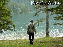 [P35] Crno Gore Jezero - Lacul Negru in parcul National Durmitor » foto by letalica*
 - 
<span class="allrVoted glyphicon glyphicon-heart hidden" id="av13538"></span>
<a class="m-l-10 hidden" id="sv13538" onclick="voting_Foto_DelVot(,13538,1103)" role="button">șterge vot <span class="glyphicon glyphicon-remove"></span></a>
<a id="v913538" class=" c-red"  onclick="voting_Foto_SetVot(13538)" role="button"><span class="glyphicon glyphicon-heart-empty"></span> <b>LIKE</b> = Votează poza</a> <img class="hidden"  id="f13538W9" src="/imagini/loader.gif" border="0" /><span class="AjErrMes hidden" id="e13538ErM"></span>