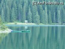 [P38] Lacul Negru are un traseu care-l inconjoara. Am facut asta pe o ploaie usoara si a fost senzational. Cunoasteti senzatia grozava pe care o incerci cand faci baie, vara, pe ploaie si cand dupa ce te scufunzi in apa marii si iesi, te mangaie stropii de ploaie... » foto by letalica*
 - 
<span class="allrVoted glyphicon glyphicon-heart hidden" id="av13541"></span>
<a class="m-l-10 hidden" id="sv13541" onclick="voting_Foto_DelVot(,13541,1103)" role="button">șterge vot <span class="glyphicon glyphicon-remove"></span></a>
<a id="v913541" class=" c-red"  onclick="voting_Foto_SetVot(13541)" role="button"><span class="glyphicon glyphicon-heart-empty"></span> <b>LIKE</b> = Votează poza</a> <img class="hidden"  id="f13541W9" src="/imagini/loader.gif" border="0" /><span class="AjErrMes hidden" id="e13541ErM"></span>