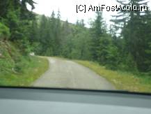 [P48]  -- <small>// FĂRĂ DESCRIERE</small> » foto by letalica*
 - 
<span class="allrVoted glyphicon glyphicon-heart hidden" id="av13551"></span>
<a class="m-l-10 hidden" id="sv13551" onclick="voting_Foto_DelVot(,13551,1103)" role="button">șterge vot <span class="glyphicon glyphicon-remove"></span></a>
<a id="v913551" class=" c-red"  onclick="voting_Foto_SetVot(13551)" role="button"><span class="glyphicon glyphicon-heart-empty"></span> <b>LIKE</b> = Votează poza</a> <img class="hidden"  id="f13551W9" src="/imagini/loader.gif" border="0" /><span class="AjErrMes hidden" id="e13551ErM"></span>