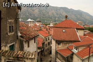 [P08] oraşul vechi, Kotor » foto by Maya_C
 - 
<span class="allrVoted glyphicon glyphicon-heart hidden" id="av811204"></span>
<a class="m-l-10 hidden" id="sv811204" onclick="voting_Foto_DelVot(,811204,1103)" role="button">șterge vot <span class="glyphicon glyphicon-remove"></span></a>
<a id="v9811204" class=" c-red"  onclick="voting_Foto_SetVot(811204)" role="button"><span class="glyphicon glyphicon-heart-empty"></span> <b>LIKE</b> = Votează poza</a> <img class="hidden"  id="f811204W9" src="/imagini/loader.gif" border="0" /><span class="AjErrMes hidden" id="e811204ErM"></span>