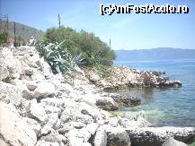[P10] in Agia Efimia...in timp ce asteptam musacaua! » foto by georgiana
 - 
<span class="allrVoted glyphicon glyphicon-heart hidden" id="av31036"></span>
<a class="m-l-10 hidden" id="sv31036" onclick="voting_Foto_DelVot(,31036,1121)" role="button">șterge vot <span class="glyphicon glyphicon-remove"></span></a>
<a id="v931036" class=" c-red"  onclick="voting_Foto_SetVot(31036)" role="button"><span class="glyphicon glyphicon-heart-empty"></span> <b>LIKE</b> = Votează poza</a> <img class="hidden"  id="f31036W9" src="/imagini/loader.gif" border="0" /><span class="AjErrMes hidden" id="e31036ErM"></span>