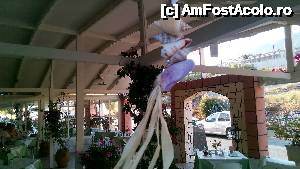 [P11] Taverna Zorbas in Vlachata » foto by noi doi
 - 
<span class="allrVoted glyphicon glyphicon-heart hidden" id="av632790"></span>
<a class="m-l-10 hidden" id="sv632790" onclick="voting_Foto_DelVot(,632790,1121)" role="button">șterge vot <span class="glyphicon glyphicon-remove"></span></a>
<a id="v9632790" class=" c-red"  onclick="voting_Foto_SetVot(632790)" role="button"><span class="glyphicon glyphicon-heart-empty"></span> <b>LIKE</b> = Votează poza</a> <img class="hidden"  id="f632790W9" src="/imagini/loader.gif" border="0" /><span class="AjErrMes hidden" id="e632790ErM"></span>