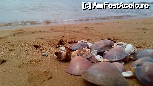 [P25]  -- <small>// FĂRĂ DESCRIERE</small> » foto by noi doi
 - 
<span class="allrVoted glyphicon glyphicon-heart hidden" id="av632804"></span>
<a class="m-l-10 hidden" id="sv632804" onclick="voting_Foto_DelVot(,632804,1121)" role="button">șterge vot <span class="glyphicon glyphicon-remove"></span></a>
<a id="v9632804" class=" c-red"  onclick="voting_Foto_SetVot(632804)" role="button"><span class="glyphicon glyphicon-heart-empty"></span> <b>LIKE</b> = Votează poza</a> <img class="hidden"  id="f632804W9" src="/imagini/loader.gif" border="0" /><span class="AjErrMes hidden" id="e632804ErM"></span>