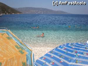[P29] Antisamos » foto by dana2104
 - 
<span class="allrVoted glyphicon glyphicon-heart hidden" id="av470452"></span>
<a class="m-l-10 hidden" id="sv470452" onclick="voting_Foto_DelVot(,470452,1121)" role="button">șterge vot <span class="glyphicon glyphicon-remove"></span></a>
<a id="v9470452" class=" c-red"  onclick="voting_Foto_SetVot(470452)" role="button"><span class="glyphicon glyphicon-heart-empty"></span> <b>LIKE</b> = Votează poza</a> <img class="hidden"  id="f470452W9" src="/imagini/loader.gif" border="0" /><span class="AjErrMes hidden" id="e470452ErM"></span>