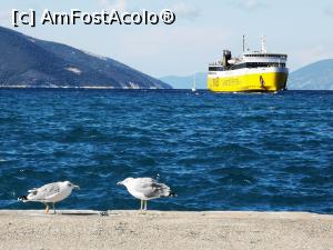 [P53] Sami; așteptând ferry spre Itaca » foto by crismis
 - 
<span class="allrVoted glyphicon glyphicon-heart hidden" id="av1263726"></span>
<a class="m-l-10 hidden" id="sv1263726" onclick="voting_Foto_DelVot(,1263726,1121)" role="button">șterge vot <span class="glyphicon glyphicon-remove"></span></a>
<a id="v91263726" class=" c-red"  onclick="voting_Foto_SetVot(1263726)" role="button"><span class="glyphicon glyphicon-heart-empty"></span> <b>LIKE</b> = Votează poza</a> <img class="hidden"  id="f1263726W9" src="/imagini/loader.gif" border="0" /><span class="AjErrMes hidden" id="e1263726ErM"></span>