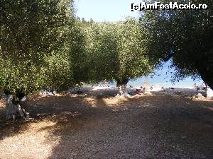 [P18] Foki beach » foto by pacala_pm
 - 
<span class="allrVoted glyphicon glyphicon-heart hidden" id="av667854"></span>
<a class="m-l-10 hidden" id="sv667854" onclick="voting_Foto_DelVot(,667854,1121)" role="button">șterge vot <span class="glyphicon glyphicon-remove"></span></a>
<a id="v9667854" class=" c-red"  onclick="voting_Foto_SetVot(667854)" role="button"><span class="glyphicon glyphicon-heart-empty"></span> <b>LIKE</b> = Votează poza</a> <img class="hidden"  id="f667854W9" src="/imagini/loader.gif" border="0" /><span class="AjErrMes hidden" id="e667854ErM"></span>