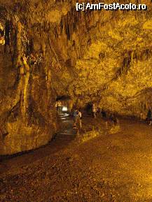 [P07] Drogarati cave » foto by Alb
 - 
<span class="allrVoted glyphicon glyphicon-heart hidden" id="av61757"></span>
<a class="m-l-10 hidden" id="sv61757" onclick="voting_Foto_DelVot(,61757,1121)" role="button">șterge vot <span class="glyphicon glyphicon-remove"></span></a>
<a id="v961757" class=" c-red"  onclick="voting_Foto_SetVot(61757)" role="button"><span class="glyphicon glyphicon-heart-empty"></span> <b>LIKE</b> = Votează poza</a> <img class="hidden"  id="f61757W9" src="/imagini/loader.gif" border="0" /><span class="AjErrMes hidden" id="e61757ErM"></span>