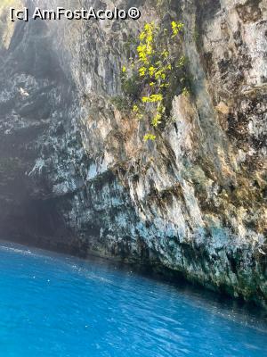 [P31] Culori, Melissani » foto by krisstinna
 - 
<span class="allrVoted glyphicon glyphicon-heart hidden" id="av1274337"></span>
<a class="m-l-10 hidden" id="sv1274337" onclick="voting_Foto_DelVot(,1274337,1121)" role="button">șterge vot <span class="glyphicon glyphicon-remove"></span></a>
<a id="v91274337" class=" c-red"  onclick="voting_Foto_SetVot(1274337)" role="button"><span class="glyphicon glyphicon-heart-empty"></span> <b>LIKE</b> = Votează poza</a> <img class="hidden"  id="f1274337W9" src="/imagini/loader.gif" border="0" /><span class="AjErrMes hidden" id="e1274337ErM"></span>