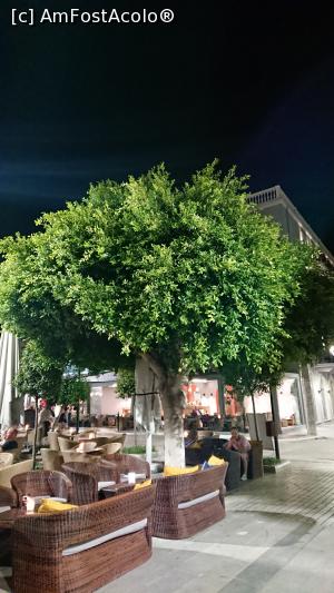 [P44] In piata centrala, Argostoli » foto by Catalin Mate
 - 
<span class="allrVoted glyphicon glyphicon-heart hidden" id="av1102302"></span>
<a class="m-l-10 hidden" id="sv1102302" onclick="voting_Foto_DelVot(,1102302,1121)" role="button">șterge vot <span class="glyphicon glyphicon-remove"></span></a>
<a id="v91102302" class=" c-red"  onclick="voting_Foto_SetVot(1102302)" role="button"><span class="glyphicon glyphicon-heart-empty"></span> <b>LIKE</b> = Votează poza</a> <img class="hidden"  id="f1102302W9" src="/imagini/loader.gif" border="0" /><span class="AjErrMes hidden" id="e1102302ErM"></span>