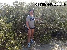 [P13] In rezervatia Ras Mohamad la mangrove(care au radacinile in apa sarata a marii). » foto by mugur manolescu*
 - 
<span class="allrVoted glyphicon glyphicon-heart hidden" id="av74247"></span>
<a class="m-l-10 hidden" id="sv74247" onclick="voting_Foto_DelVot(,74247,1131)" role="button">șterge vot <span class="glyphicon glyphicon-remove"></span></a>
<a id="v974247" class=" c-red"  onclick="voting_Foto_SetVot(74247)" role="button"><span class="glyphicon glyphicon-heart-empty"></span> <b>LIKE</b> = Votează poza</a> <img class="hidden"  id="f74247W9" src="/imagini/loader.gif" border="0" /><span class="AjErrMes hidden" id="e74247ErM"></span>