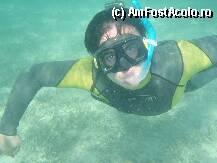 [P09] La snorkeling in marea rosie. » foto by mugur manolescu*
 - 
<span class="allrVoted glyphicon glyphicon-heart hidden" id="av74243"></span>
<a class="m-l-10 hidden" id="sv74243" onclick="voting_Foto_DelVot(,74243,1131)" role="button">șterge vot <span class="glyphicon glyphicon-remove"></span></a>
<a id="v974243" class=" c-red"  onclick="voting_Foto_SetVot(74243)" role="button"><span class="glyphicon glyphicon-heart-empty"></span> <b>LIKE</b> = Votează poza</a> <img class="hidden"  id="f74243W9" src="/imagini/loader.gif" border="0" /><span class="AjErrMes hidden" id="e74243ErM"></span>