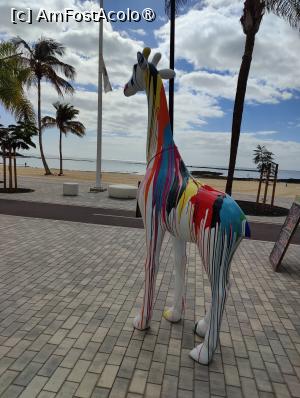 [P76] La pas prin Arrecife » foto by crismis
 - 
<span class="allrVoted glyphicon glyphicon-heart hidden" id="av1484391"></span>
<a class="m-l-10 hidden" id="sv1484391" onclick="voting_Foto_DelVot(,1484391,1154)" role="button">șterge vot <span class="glyphicon glyphicon-remove"></span></a>
<a id="v91484391" class=" c-red"  onclick="voting_Foto_SetVot(1484391)" role="button"><span class="glyphicon glyphicon-heart-empty"></span> <b>LIKE</b> = Votează poza</a> <img class="hidden"  id="f1484391W9" src="/imagini/loader.gif" border="0" /><span class="AjErrMes hidden" id="e1484391ErM"></span>