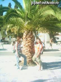 [P03] o poza inainte de a pleca pe insula » foto by adelinda
 - 
<span class="allrVoted glyphicon glyphicon-heart hidden" id="av159455"></span>
<a class="m-l-10 hidden" id="sv159455" onclick="voting_Foto_DelVot(,159455,1166)" role="button">șterge vot <span class="glyphicon glyphicon-remove"></span></a>
<a id="v9159455" class=" c-red"  onclick="voting_Foto_SetVot(159455)" role="button"><span class="glyphicon glyphicon-heart-empty"></span> <b>LIKE</b> = Votează poza</a> <img class="hidden"  id="f159455W9" src="/imagini/loader.gif" border="0" /><span class="AjErrMes hidden" id="e159455ErM"></span>