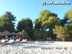 [P11] plaja Koukounaries » foto by amero
 - 
<span class="allrVoted glyphicon glyphicon-heart hidden" id="av472133"></span>
<a class="m-l-10 hidden" id="sv472133" onclick="voting_Foto_DelVot(,472133,1166)" role="button">șterge vot <span class="glyphicon glyphicon-remove"></span></a>
<a id="v9472133" class=" c-red"  onclick="voting_Foto_SetVot(472133)" role="button"><span class="glyphicon glyphicon-heart-empty"></span> <b>LIKE</b> = Votează poza</a> <img class="hidden"  id="f472133W9" src="/imagini/loader.gif" border="0" /><span class="AjErrMes hidden" id="e472133ErM"></span>