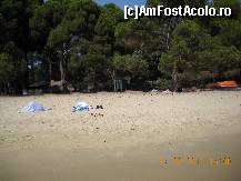 [P06] Faimoasa plaja Koukounaries, strajuita de pini.  » foto by Rodel
 - 
<span class="allrVoted glyphicon glyphicon-heart hidden" id="av411283"></span>
<a class="m-l-10 hidden" id="sv411283" onclick="voting_Foto_DelVot(,411283,1166)" role="button">șterge vot <span class="glyphicon glyphicon-remove"></span></a>
<a id="v9411283" class=" c-red"  onclick="voting_Foto_SetVot(411283)" role="button"><span class="glyphicon glyphicon-heart-empty"></span> <b>LIKE</b> = Votează poza</a> <img class="hidden"  id="f411283W9" src="/imagini/loader.gif" border="0" /><span class="AjErrMes hidden" id="e411283ErM"></span>
