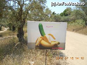 [P25] drumul spre plaja nudistilor » foto by lilianaooo
 - 
<span class="allrVoted glyphicon glyphicon-heart hidden" id="av443362"></span>
<a class="m-l-10 hidden" id="sv443362" onclick="voting_Foto_DelVot(,443362,1166)" role="button">șterge vot <span class="glyphicon glyphicon-remove"></span></a>
<a id="v9443362" class=" c-red"  onclick="voting_Foto_SetVot(443362)" role="button"><span class="glyphicon glyphicon-heart-empty"></span> <b>LIKE</b> = Votează poza</a> <img class="hidden"  id="f443362W9" src="/imagini/loader.gif" border="0" /><span class="AjErrMes hidden" id="e443362ErM"></span>