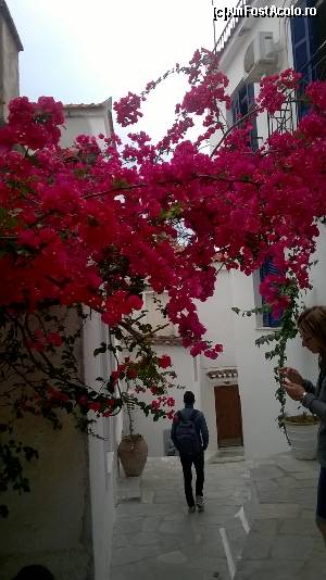 [P33] Skiathos town.  » foto by maryka
 - 
<span class="allrVoted glyphicon glyphicon-heart hidden" id="av629267"></span>
<a class="m-l-10 hidden" id="sv629267" onclick="voting_Foto_DelVot(,629267,1166)" role="button">șterge vot <span class="glyphicon glyphicon-remove"></span></a>
<a id="v9629267" class=" c-red"  onclick="voting_Foto_SetVot(629267)" role="button"><span class="glyphicon glyphicon-heart-empty"></span> <b>LIKE</b> = Votează poza</a> <img class="hidden"  id="f629267W9" src="/imagini/loader.gif" border="0" /><span class="AjErrMes hidden" id="e629267ErM"></span>