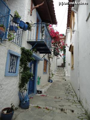 [P09] O frumoasa straduta in Skiathos town.  » foto by maryka
 - 
<span class="allrVoted glyphicon glyphicon-heart hidden" id="av629238"></span>
<a class="m-l-10 hidden" id="sv629238" onclick="voting_Foto_DelVot(,629238,1166)" role="button">șterge vot <span class="glyphicon glyphicon-remove"></span></a>
<a id="v9629238" class=" c-red"  onclick="voting_Foto_SetVot(629238)" role="button"><span class="glyphicon glyphicon-heart-empty"></span> <b>LIKE</b> = Votează poza</a> <img class="hidden"  id="f629238W9" src="/imagini/loader.gif" border="0" /><span class="AjErrMes hidden" id="e629238ErM"></span>