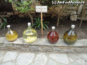 [P10] Poftiti la degustat lichior!  » foto by maryka
 - 
<span class="allrVoted glyphicon glyphicon-heart hidden" id="av631653"></span>
<a class="m-l-10 hidden" id="sv631653" onclick="voting_Foto_DelVot(,631653,1166)" role="button">șterge vot <span class="glyphicon glyphicon-remove"></span></a>
<a id="v9631653" class=" c-red"  onclick="voting_Foto_SetVot(631653)" role="button"><span class="glyphicon glyphicon-heart-empty"></span> <b>LIKE</b> = Votează poza</a> <img class="hidden"  id="f631653W9" src="/imagini/loader.gif" border="0" /><span class="AjErrMes hidden" id="e631653ErM"></span>
