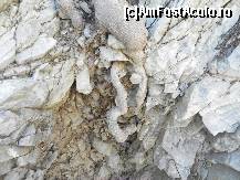 [P38] Orice fisură în rocă e atacată de aparent firavele rădăcini.  » foto by abancor
 - 
<span class="allrVoted glyphicon glyphicon-heart hidden" id="av459454"></span>
<a class="m-l-10 hidden" id="sv459454" onclick="voting_Foto_DelVot(,459454,1166)" role="button">șterge vot <span class="glyphicon glyphicon-remove"></span></a>
<a id="v9459454" class=" c-red"  onclick="voting_Foto_SetVot(459454)" role="button"><span class="glyphicon glyphicon-heart-empty"></span> <b>LIKE</b> = Votează poza</a> <img class="hidden"  id="f459454W9" src="/imagini/loader.gif" border="0" /><span class="AjErrMes hidden" id="e459454ErM"></span>