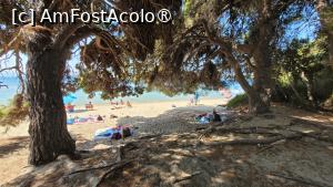 [P29] Vromolimnos, Skiathos » foto by vlado2
 - 
<span class="allrVoted glyphicon glyphicon-heart hidden" id="av1520355"></span>
<a class="m-l-10 hidden" id="sv1520355" onclick="voting_Foto_DelVot(,1520355,1166)" role="button">șterge vot <span class="glyphicon glyphicon-remove"></span></a>
<a id="v91520355" class=" c-red"  onclick="voting_Foto_SetVot(1520355)" role="button"><span class="glyphicon glyphicon-heart-empty"></span> <b>LIKE</b> = Votează poza</a> <img class="hidden"  id="f1520355W9" src="/imagini/loader.gif" border="0" /><span class="AjErrMes hidden" id="e1520355ErM"></span>