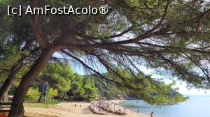 [P04] Banana, Skiathos » foto by vlado2
 - 
<span class="allrVoted glyphicon glyphicon-heart hidden" id="av1520330"></span>
<a class="m-l-10 hidden" id="sv1520330" onclick="voting_Foto_DelVot(,1520330,1166)" role="button">șterge vot <span class="glyphicon glyphicon-remove"></span></a>
<a id="v91520330" class=" c-red"  onclick="voting_Foto_SetVot(1520330)" role="button"><span class="glyphicon glyphicon-heart-empty"></span> <b>LIKE</b> = Votează poza</a> <img class="hidden"  id="f1520330W9" src="/imagini/loader.gif" border="0" /><span class="AjErrMes hidden" id="e1520330ErM"></span>